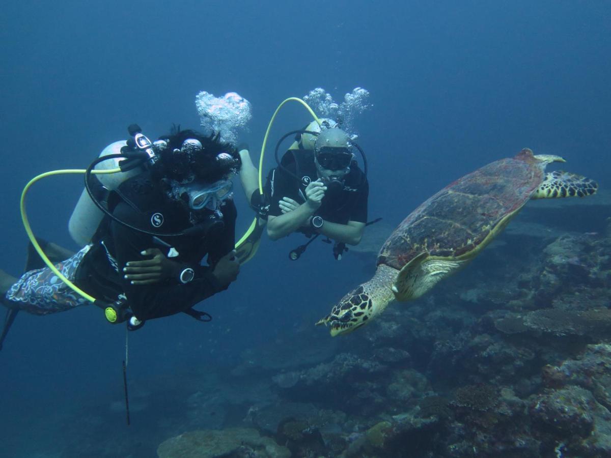 Vaali Beach&dive Maldives Gasthof Felidhu-Atoll