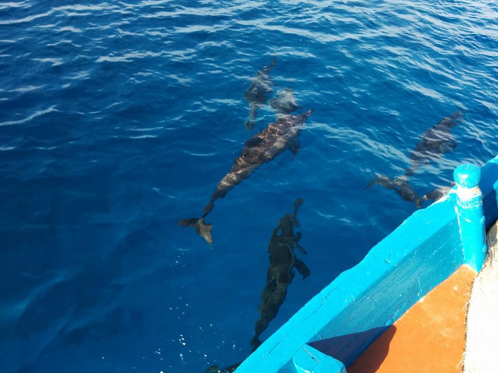 Konukevi Vaali Maldives Island Escapes & Dive 3*