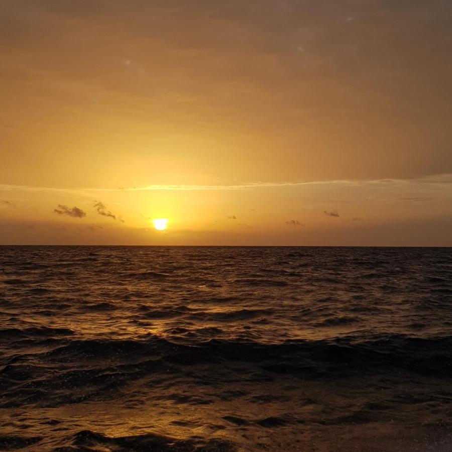 Vaali Maldives Island Escapes & Dive 3*