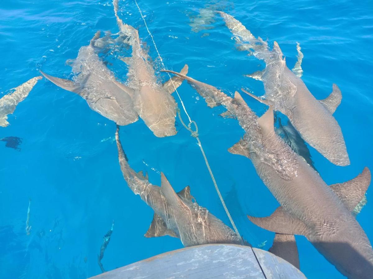 Vaali Maldives Island Escapes & Dive 3*
