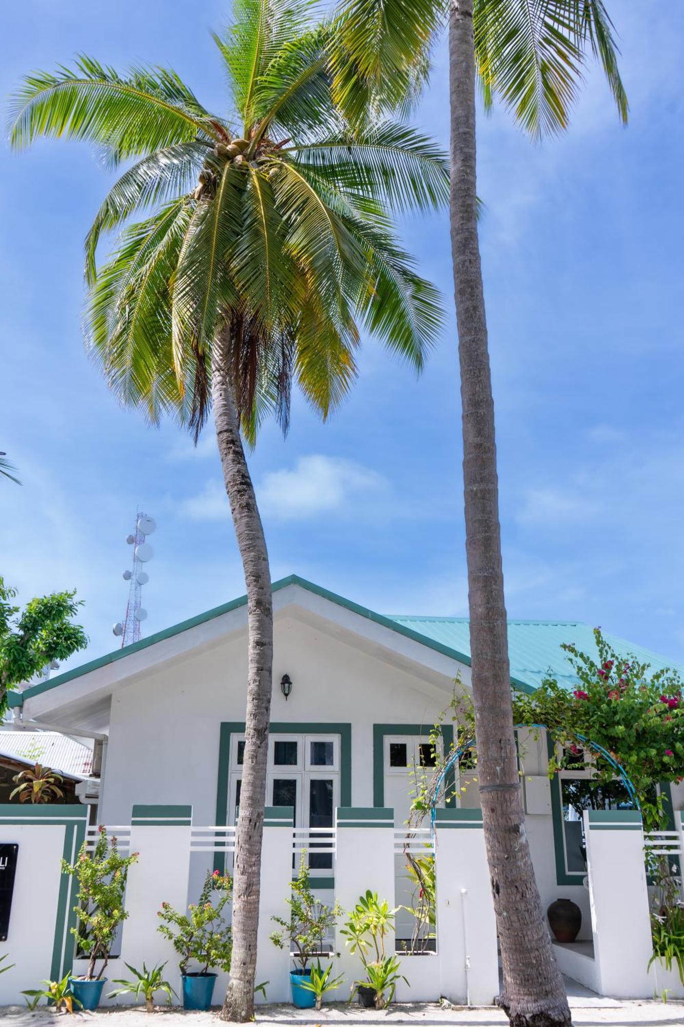 Vaali Maldives Island Escapes & Dive 3*