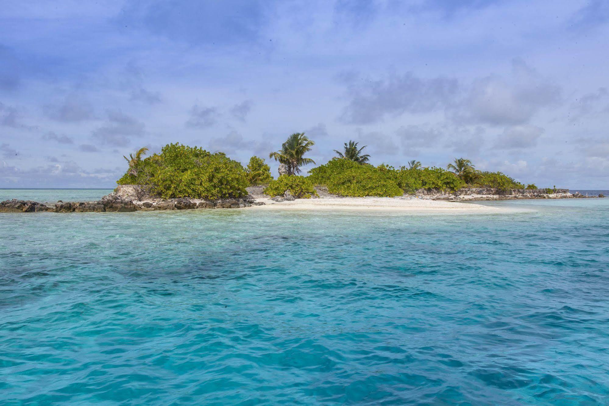 Vaali Maldives Island Escapes & Dive Casa de hóspedes 3*