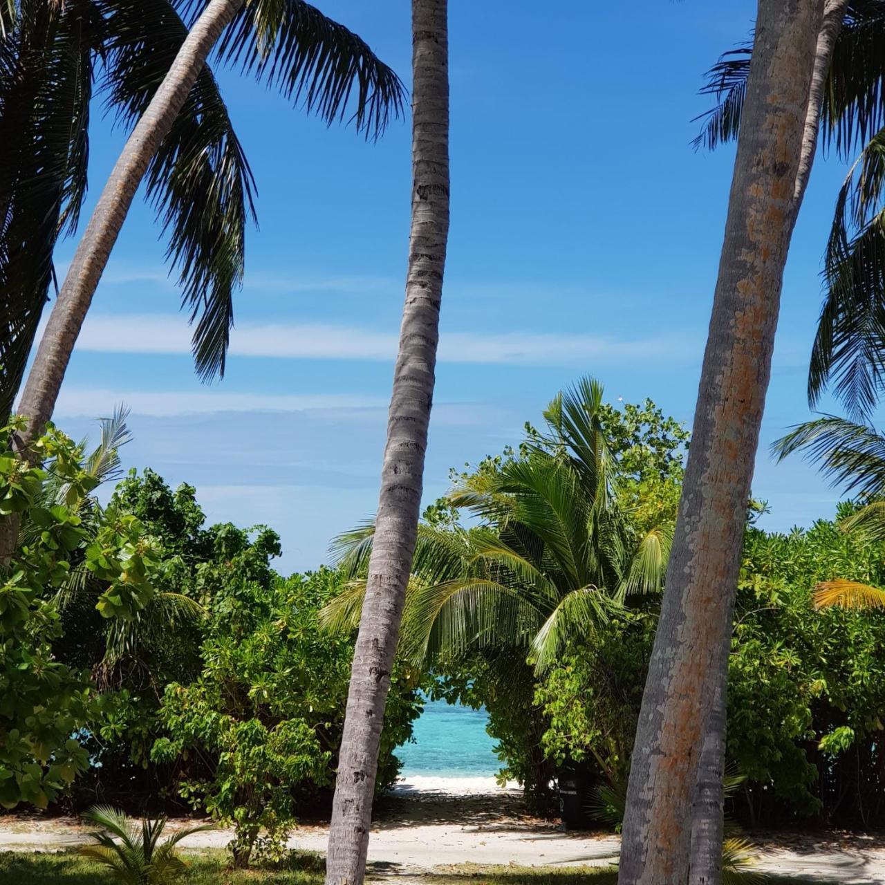 Vaali Maldives Island Escapes & Dive